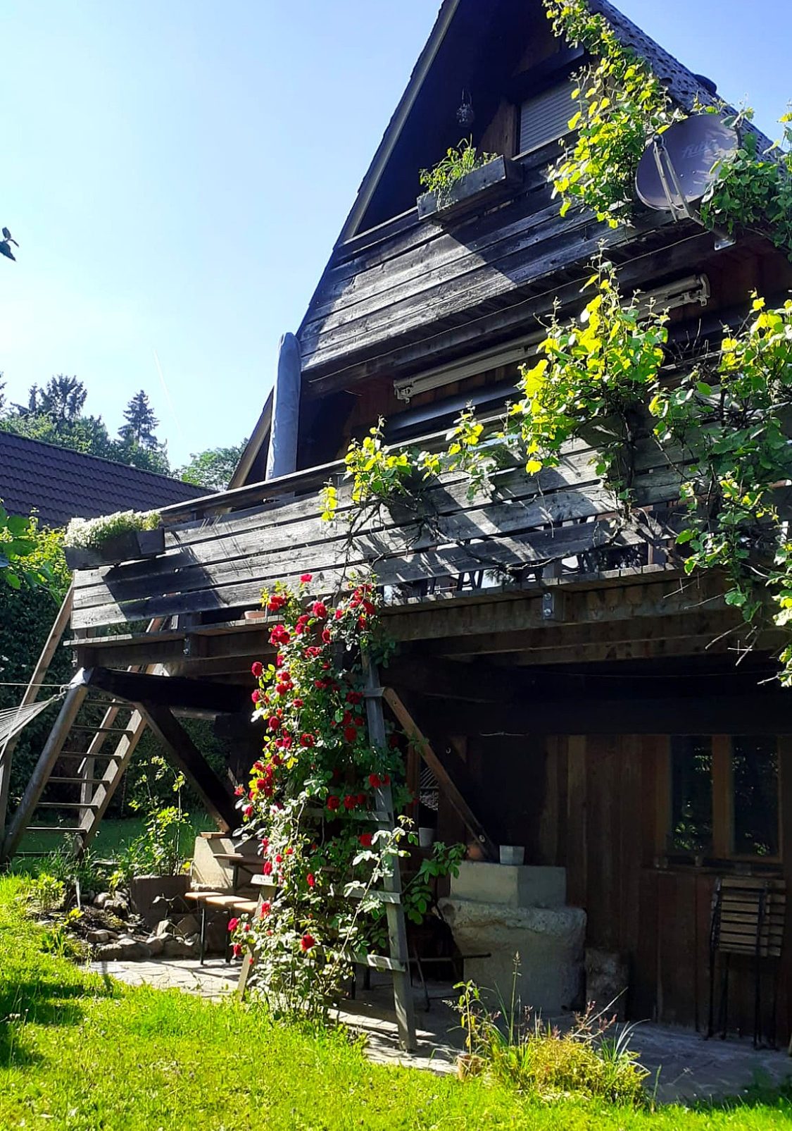 Holzhaus mit schräg geneigtem Dach und blühenden Rosen im Vordergrund.